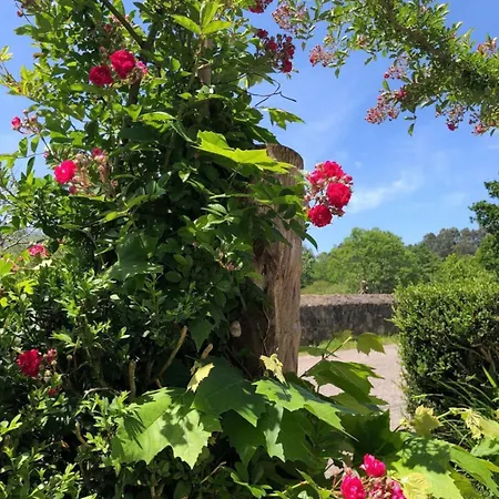 Casa De Rosa 利亚内斯
